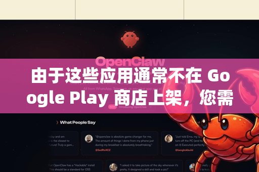由于这些应用通常不在 Google Play 商店上架，您需要通过以下方式下载。请严格按照步骤操作以确保安全