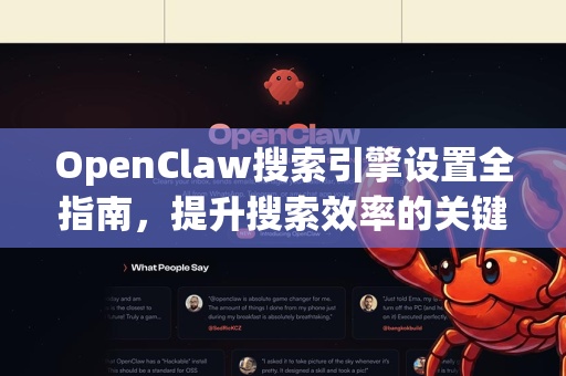 OpenClaw搜索引擎设置全指南，提升搜索效率的关键步骤