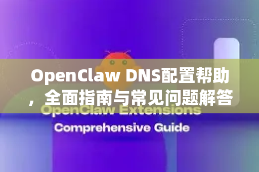 OpenClaw DNS配置帮助，全面指南与常见问题解答